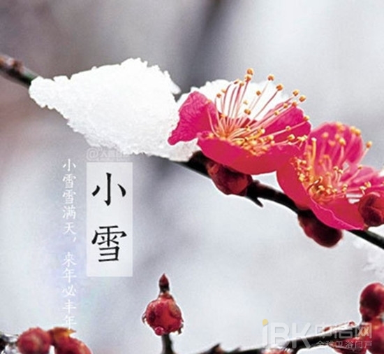 小雪 | 穿越四季，只为融化在你的怀抱