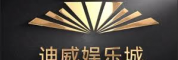 迪威国际